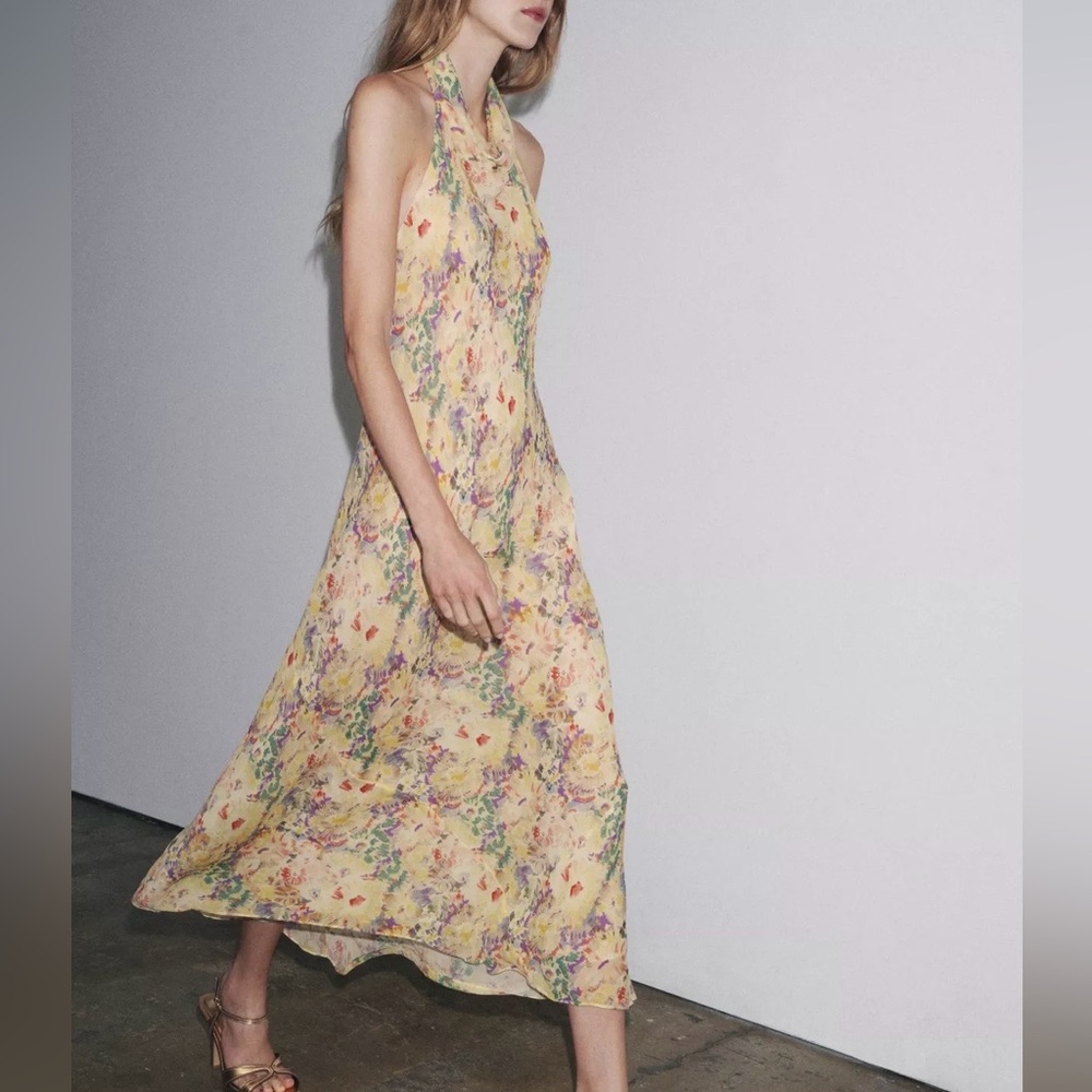 Zara NWT Multicolor Floral Maxi Dress